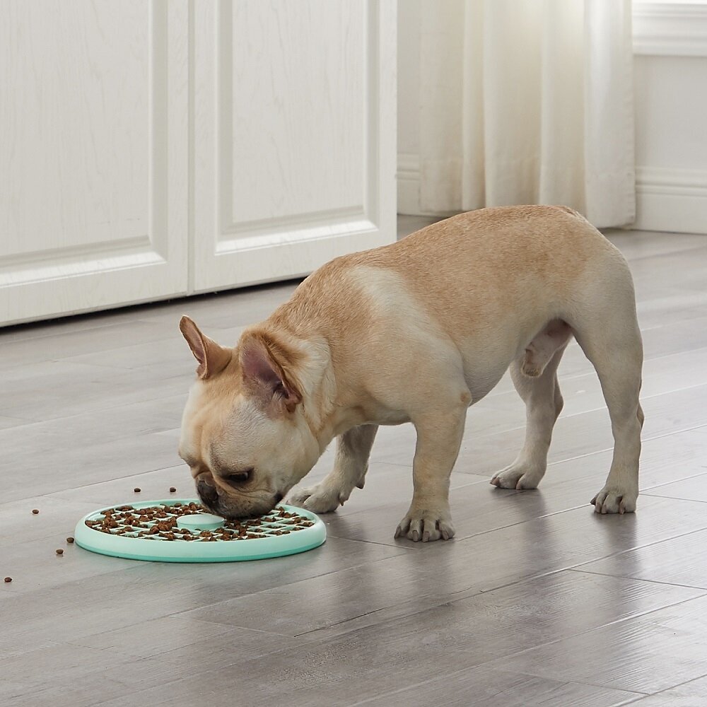 Fun Feeder Slo Tray Schleckplatte