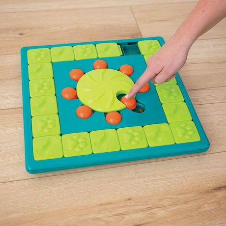 Multi Puzzle Intelligenzspielzeug