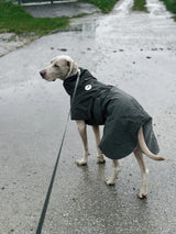 Hochreflektierender Hundewintermantel
