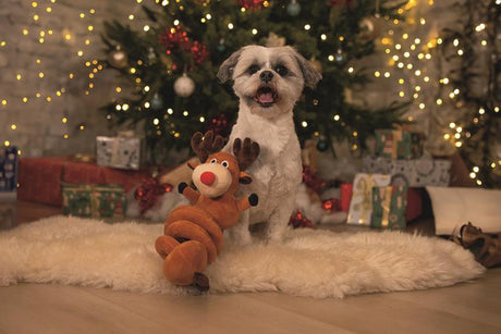 Beeztees Xmas Plüsch-Spirale – Weihnachtsspielzeug für Hunde, 35 cm