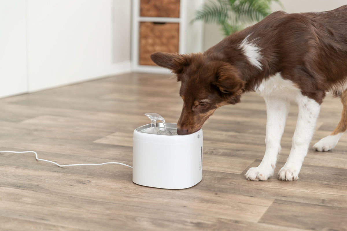 TRIXIE Aqua Pure Trinkbrunnen für Hunde & Katzen – Edelstahlschale, 2 L, Wasserstandsanzeige