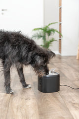TRIXIE Aqua Pure Trinkbrunnen für Hunde & Katzen – Edelstahlschale, 2 L, Wasserstandsanzeige