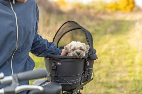 TRIXIE Hundefahrradkorb Gepäckträger – bis 6 kg, Netz-Abdeckung, Kurzleine, schwarz