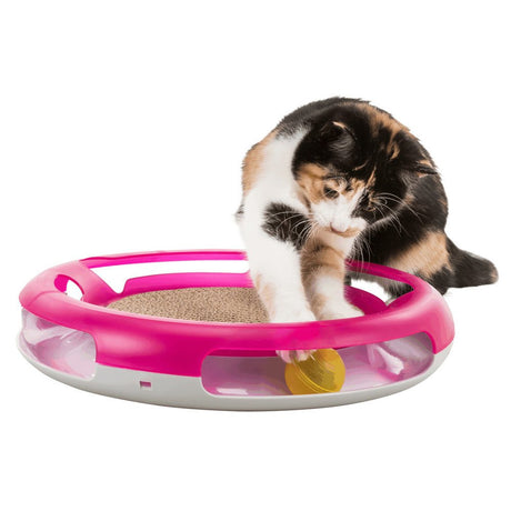 Race & Scratch Katzenspielzeug