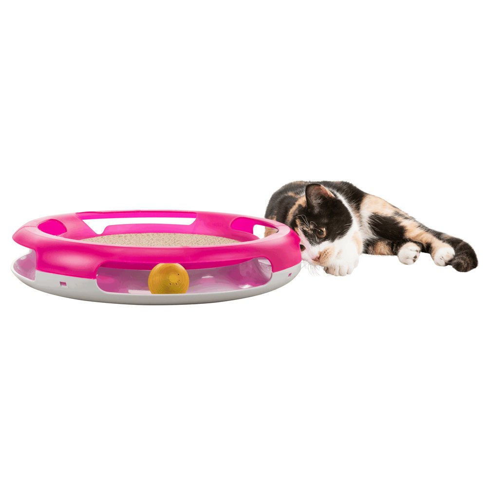 Race & Scratch Katzenspielzeug