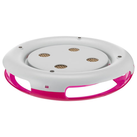 Race & Scratch Katzenspielzeug