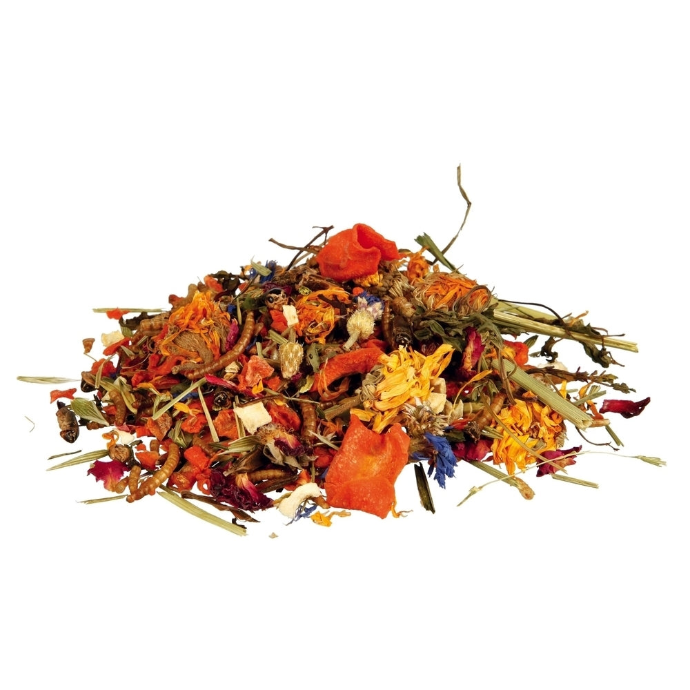 Reptilien Naturfutter-Mix für Bartagamen