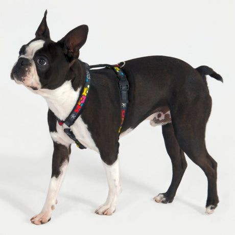 Rogz Fancy Dress Cool Graphics Hundegeschirr
