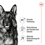 Royal Canin Maxi Adult 5+ Hundefutter