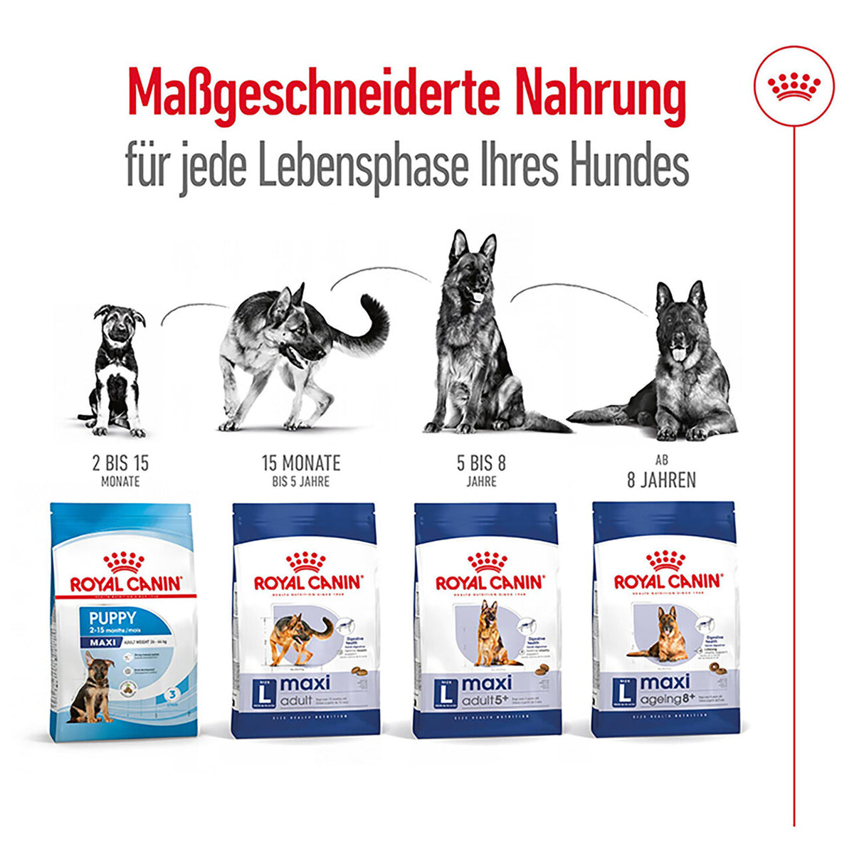Royal Canin Maxi Adult 5+ Hundefutter