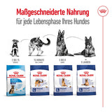 Royal Canin Maxi Adult 5+ Hundefutter
