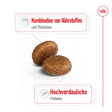 Royal Canin Maxi Adult 5+ Hundefutter