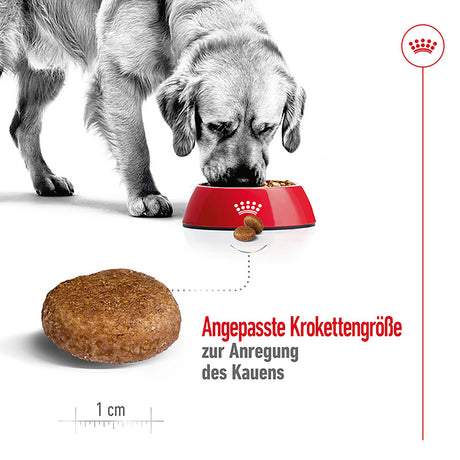 Royal Canin Maxi Adult 5+ Hundefutter