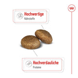 Royal Canin Maxi Adult Trockenfutter für große Hunde