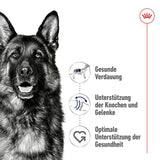 Royal Canin Maxi Adult Trockenfutter für große Hunde