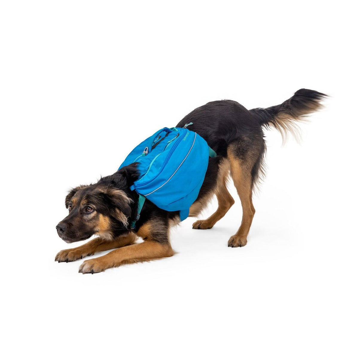 Ruffwear Approach Pack Hunderucksack