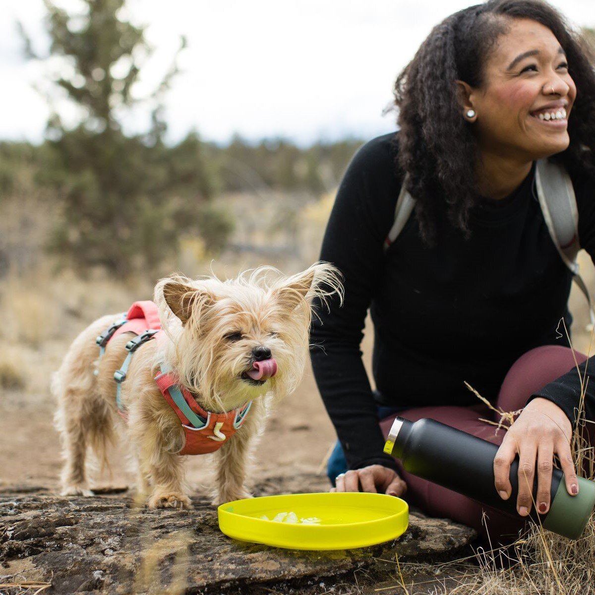Ruffwear Camp Flyer™ Frisbee Hundespielzeug