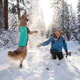Ruffwear Cloud Chase Soft Shell Jacke für Hunde
