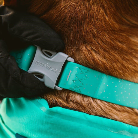 Confluence Waterproof Hunde Halsband