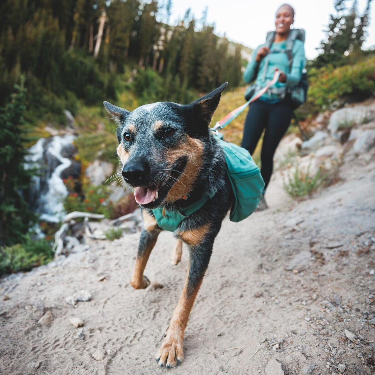 Front Range Day Pack Rucksack