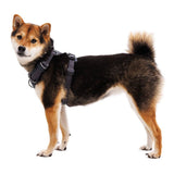 Front Range Harness Hundegeschirr 2.0