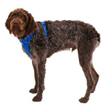 Front Range Harness Hundegeschirr 2.0
