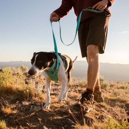 Ruffwear Front Range Hundeleine 2.0