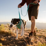 Ruffwear Front Range Hundeleine 2.0