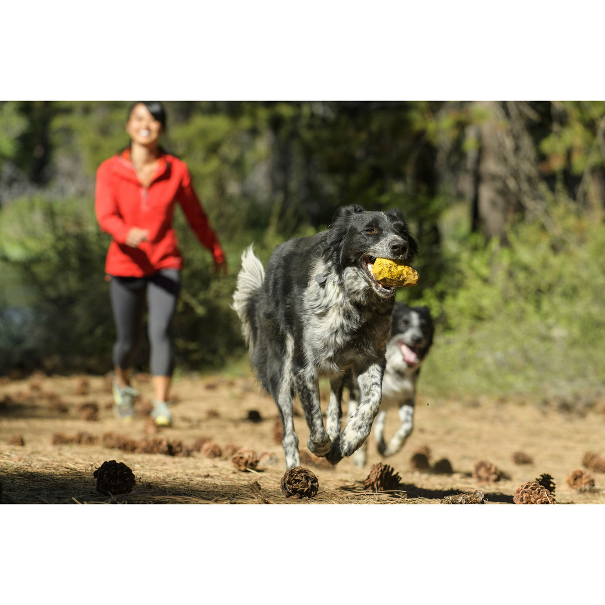 Ruffwear Hundespielzeug Gnawt-a-Cone