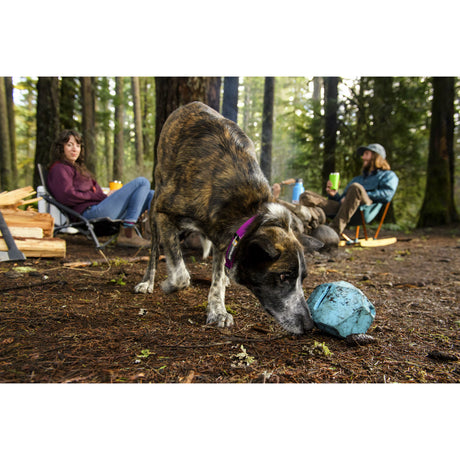 Ruffwear Spielzeug für Hunde Gnawt-a-Rock