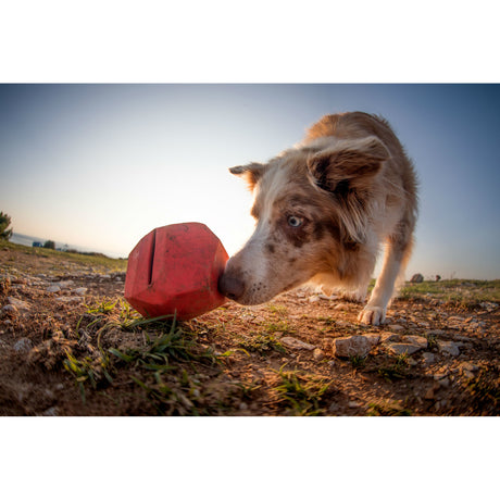 Ruffwear Spielzeug für Hunde Gnawt-a-Rock