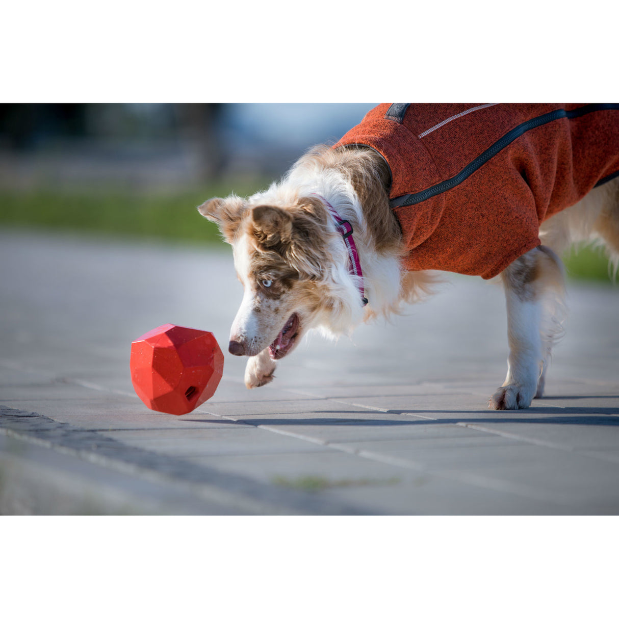 Ruffwear Spielzeug für Hunde Gnawt-a-Rock