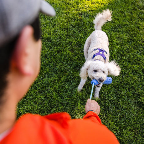 Ruffwear Gourdo Hundespielzeug