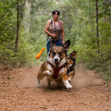 Ruffwear Gourdo Hundespielzeug