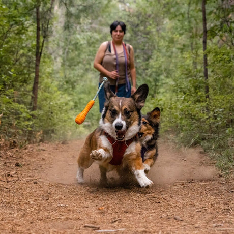 Ruffwear Gourdo Hundespielzeug