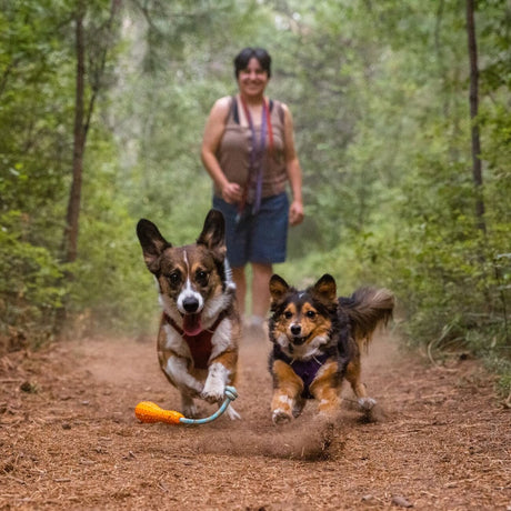 Ruffwear Gourdo Hundespielzeug
