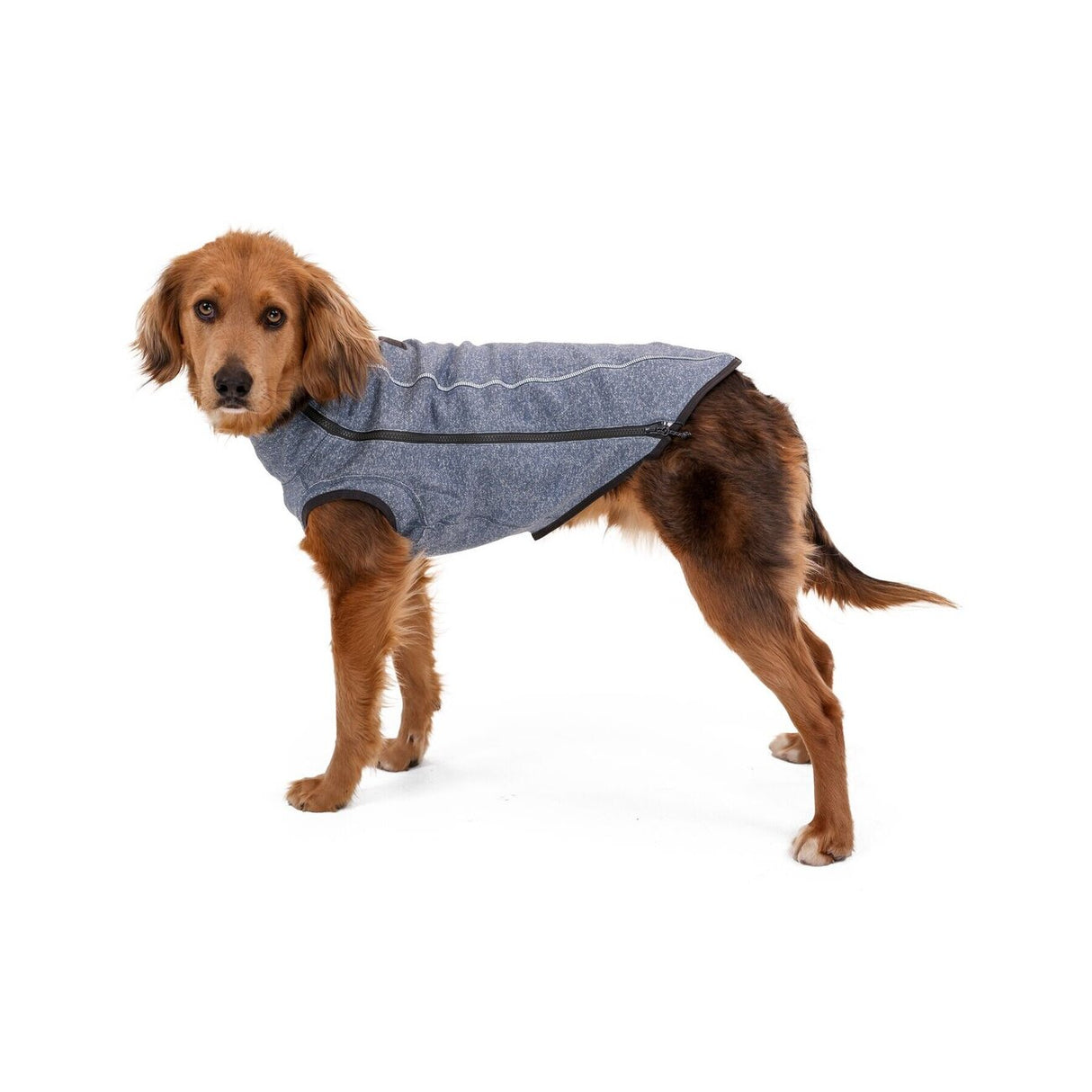 Hemp Hound Hundepullover mit Reißverschluss