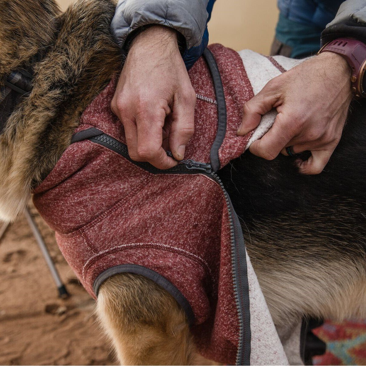 Hemp Hound Hundepullover mit Reißverschluss