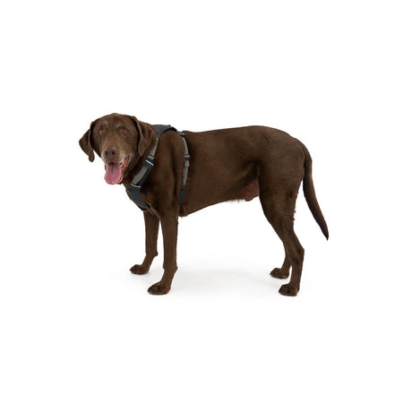 Ruffwear Hi Light Harness Hundegeschirr