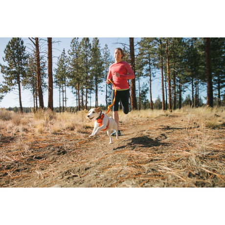 Ruffwear Hi Light Harness Hundegeschirr