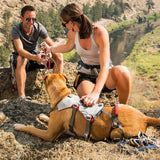 Ruffwear Hundegeschirr Doubleback Harness