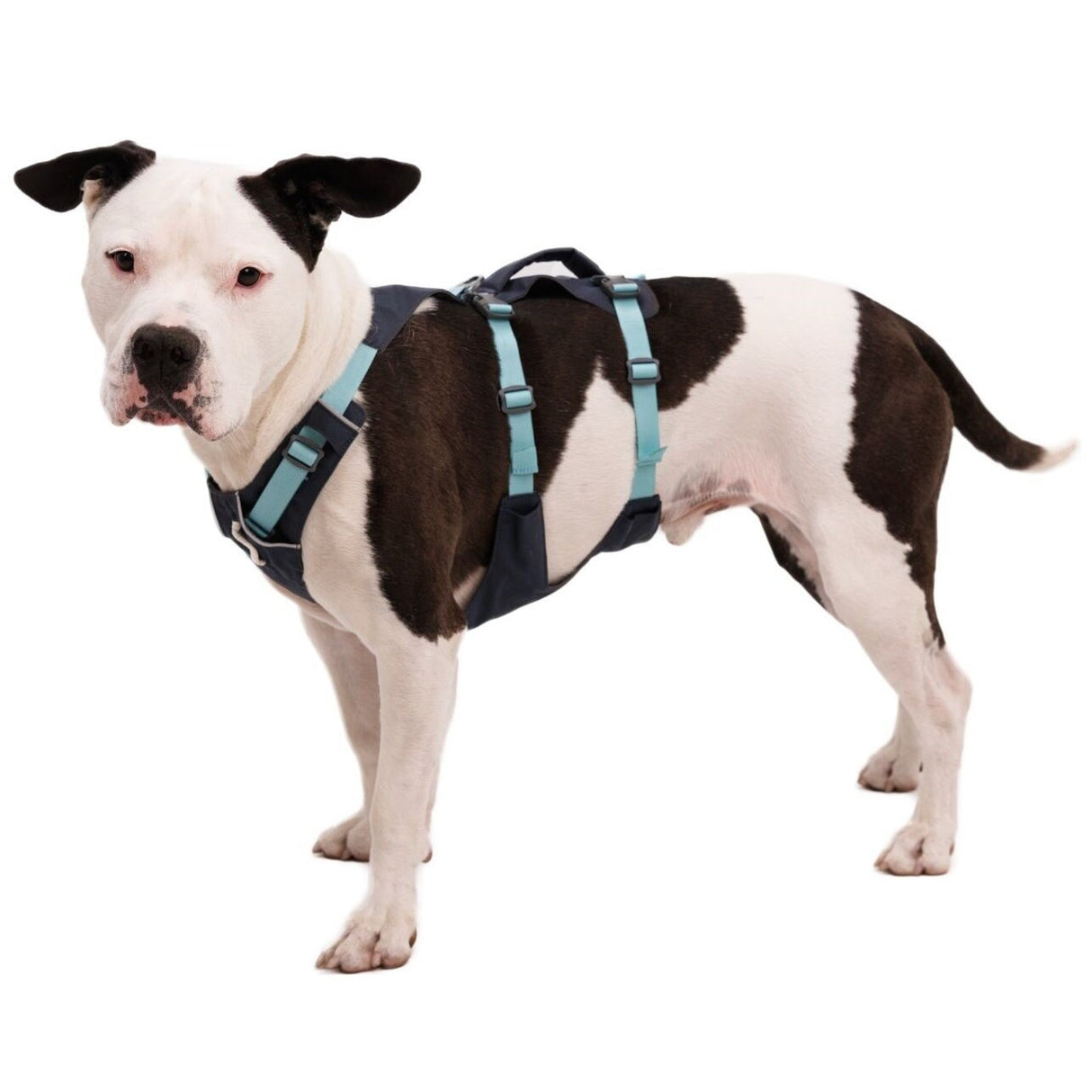 Ruffwear Hundegeschirr Flagline