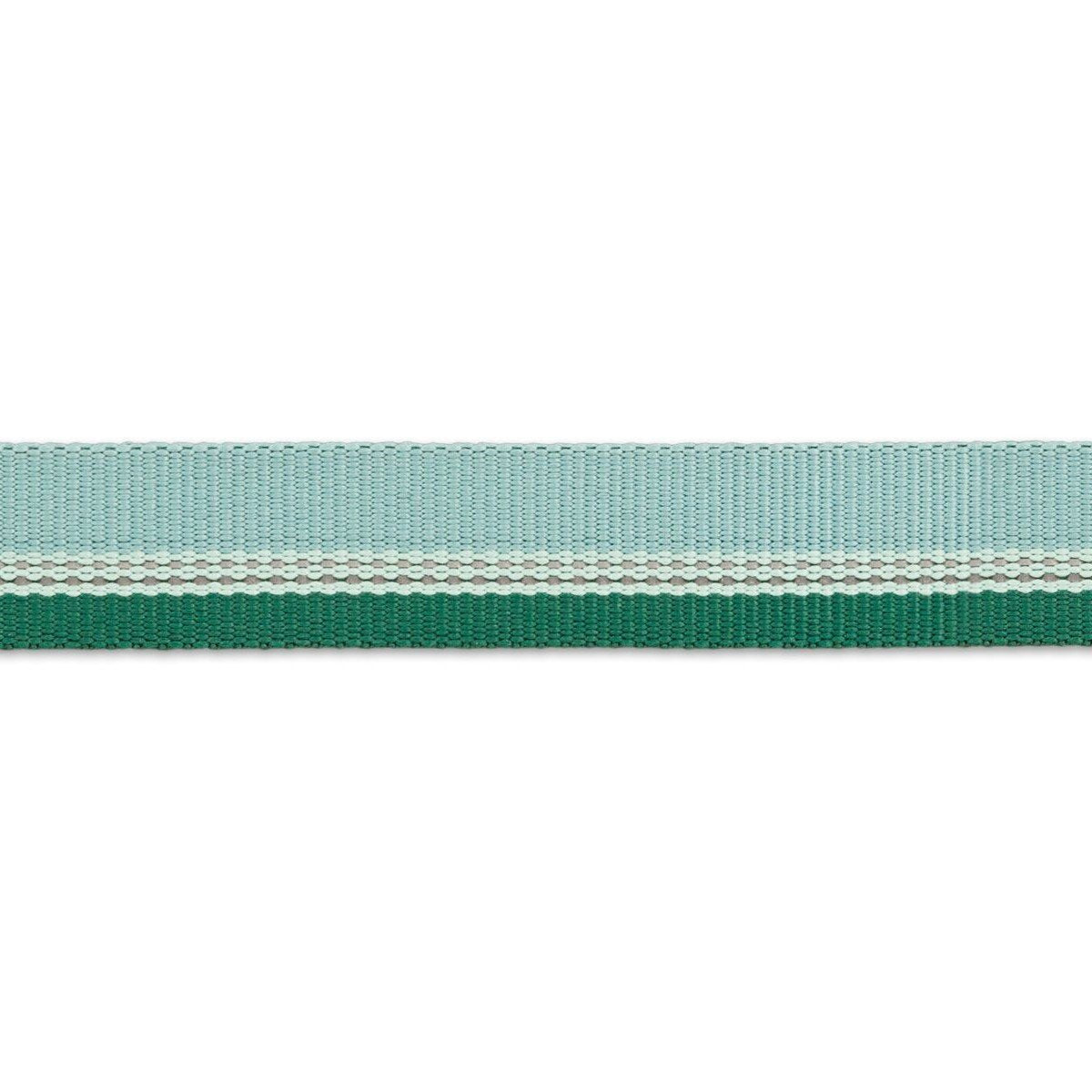 Ruffwear Hundehalsband Chain Reaction™