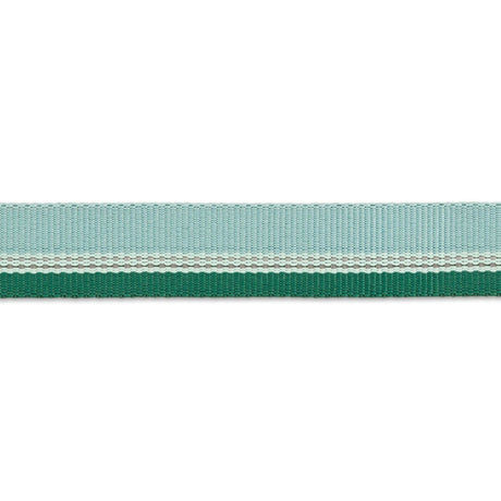 Ruffwear Hundehalsband Chain Reaction™