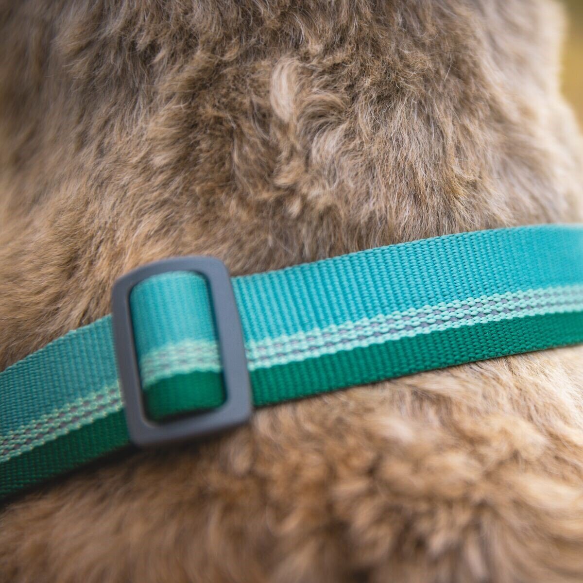 Ruffwear Hundehalsband Chain Reaction™