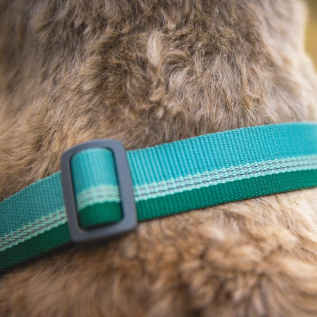 Ruffwear Hundehalsband Chain Reaction™