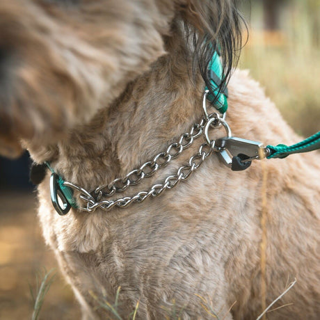 Ruffwear Hundehalsband Chain Reaction™