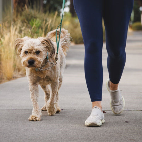 Ruffwear Hundehalsband Chain Reaction™