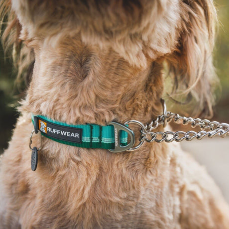 Ruffwear Hundehalsband Chain Reaction™