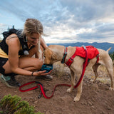 Hundeleine Roamer Leash